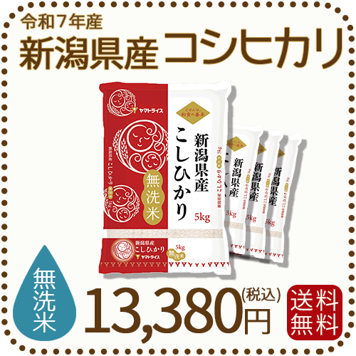 無洗米 新潟県産 コシヒカリ 20kg (5kg×4) 令和7年産