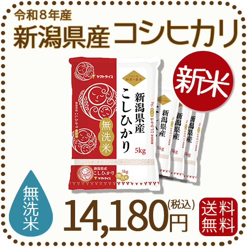 ＜新米＞ 無洗米 新潟県産 コシヒカリ 20kg (5kg×4) 令和8年産