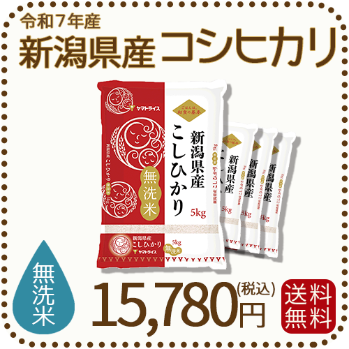 無洗米 新潟県産 コシヒカリ 20kg (5kg×4) 令和7年産