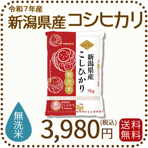 無洗米 新潟県産 コシヒカリ 5kg 令和7年産