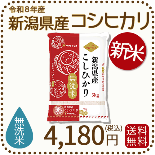 ＜新米＞ 無洗米 新潟県産 コシヒカリ 5kg 令和8年産