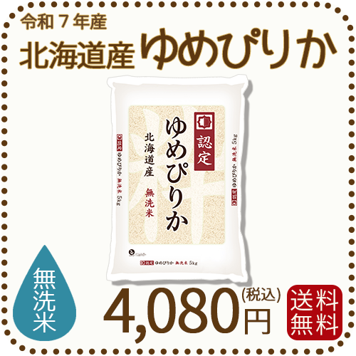 無洗米 北海道産ゆめぴりか 5kgx1袋 令和7年産 特A