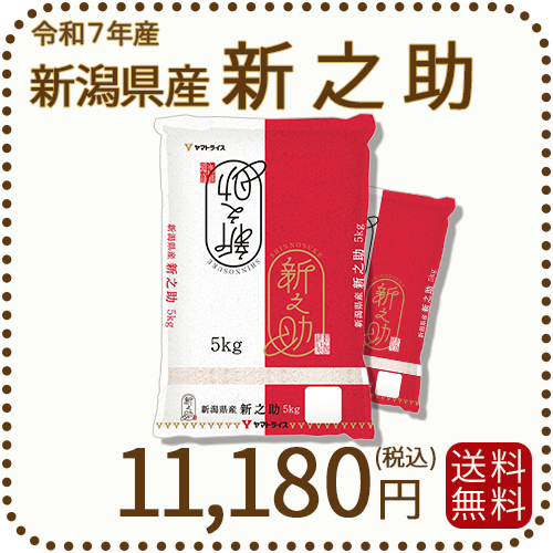 新潟県産 新之助 10kg(5kg×2) 令和7年産 白米 ヤマトライス 本店