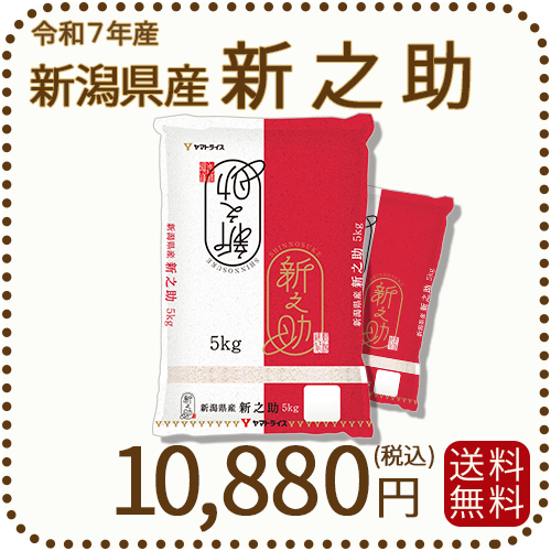 新潟県産 新之助 10kg(5kg×2) 令和7年産 白米 ヤマトライス 本店