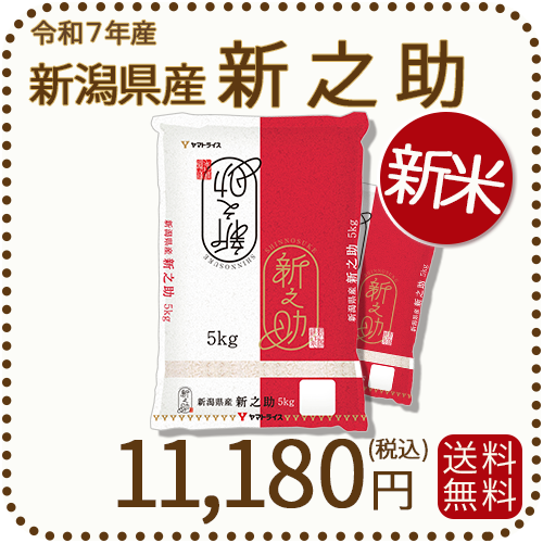 新潟県産新之助10kg