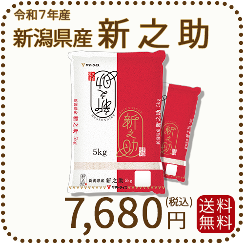 新潟県産 新之助 10kg(5kg×2) 令和7年産 白米