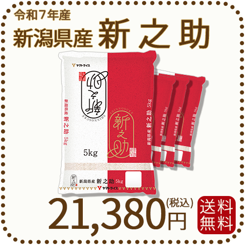 新潟県産 新之助 20kg(5kg×4) 令和7年産 白米 ヤマトライス 本店