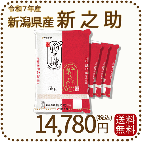 新潟県産 新之助 20kg(5kg×4) 令和7年産 白米