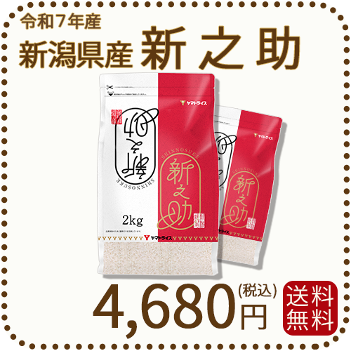 新潟県産新之助 4kg(2kg×2) 窒素充填 令和7年産 白米