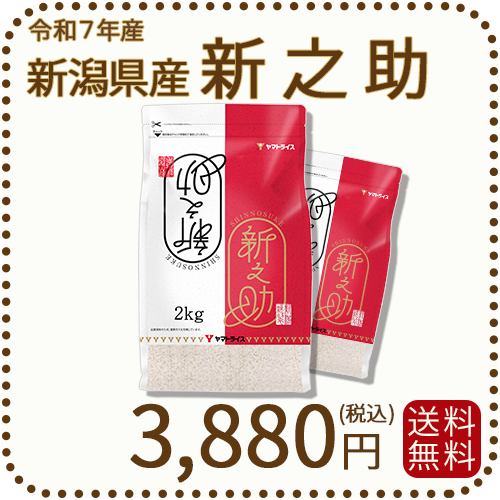 ＜7年産終売＞ 新潟県産新之助 4kg(2kg×2) 窒素充填 令和7年産 白米