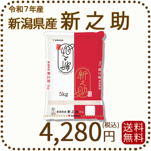 新潟県産 新之助 5kg 令和7年産 白米