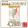 愛知県産コシヒカリ 白米 5kg 米 お米 令和7年産
