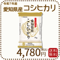愛知県産コシヒカリ 白米 5kg 米 お米 令和7年産