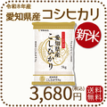 ＜新米＞ 愛知県産コシヒカリ 白米 5kg 米 お米 令和8年産