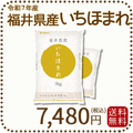福井県産 いちほまれ 10kg (5kg×2) 令和7年産 特A