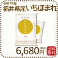 福井県産 いちほまれ 10kg (5kg×2) 令和7年産 特A