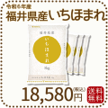福井県産いちほまれ20kg