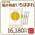 福井県産 いちほまれ 20kg (5kg×4) 令和7年産 特A