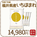 福井県産 いちほまれ 20kg (5kg×4) 令和7年産 特A