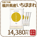 福井県産 いちほまれ 20kg (5kg×4) 令和7年産 特A