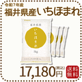福井県産 いちほまれ 20kg (5kg×4) 令和7年産 特A