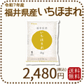 福井県産 いちほまれ 2kg 令和7年産 特A