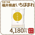 福井県産 いちほまれ 5kg 令和7年産 特A
