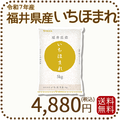 福井県産 いちほまれ 5kg 令和7年産 特A
