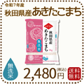 無洗米 秋田県産あきたこまち 2kg (2kg×1袋) 令和7年産