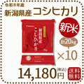 ＜新米＞ 新潟県産 コシヒカリ 20kg (2kg×10) 令和8年産