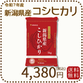 新潟県産 コシヒカリ 5kg 令和7年産