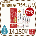 ＜新米＞ 無洗米 新潟県産 コシヒカリ 20kg (5kg×4) 令和8年産