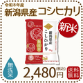 ＜新米＞ 無洗米 新潟県産 コシヒカリ 2kg 令和8年産