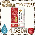 無洗米 新潟県産 コシヒカリ 5kg 令和7年産
