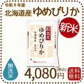 ＜新米＞ 無洗米 北海道産ゆめぴりか 5kgx1袋 令和8年産