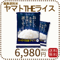 ヤマトTHEライス 国内産 複数原料米 10kg 5kg×2 白米