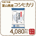 富山県産コシヒカリ 白米 5kg(5kg×1袋) 令和7年産