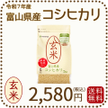 富山県産コシヒカリ玄米2kg
