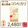 富山県産コシヒカリ玄米2kg