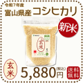 富山県産コシヒカリ玄米5k