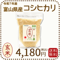 【栄養機能食品】富山県産コシヒカリ 玄米 5kg(5kg×1袋) 令和7年産 脱酸素剤