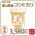 【栄養機能食品】富山県産コシヒカリ 玄米 5kg(5kg×1袋) 令和7年産 脱酸素剤