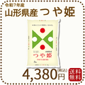 山形県産 つや姫 5kg(5kg×1袋) 令和7年産