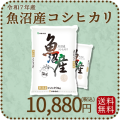 新潟県魚沼産コシヒカリ10kg