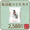 【高級銘柄】 新潟県魚沼産コシヒカリ 2kg 令和7年産 特A