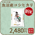 ＜新米＞ 【高級銘柄】 新潟県魚沼産コシヒカリ 2kg 令和8年産