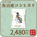 【高級銘柄】 新潟県魚沼産コシヒカリ 2kg 令和7年産 特A