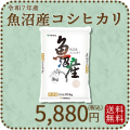 新潟県魚沼産コシヒカリ5kg