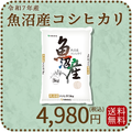 【高級銘柄】 新潟県魚沼産コシヒカリ 5kg 令和7年産 特A