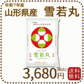 山形県産 雪若丸 5kg(5kg×1袋) 令和7年産
